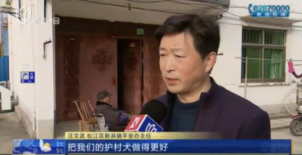 帅气！听话！上海的这些狗狗们派上大用场了