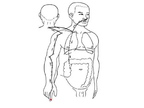每天早起敲打这里,排出体内毒素,肠道健康人长寿! 每天早起敲打这里,排出体内毒素,肠道健康人长寿!
