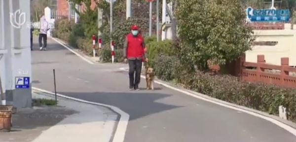 帅气！听话！上海的这些狗狗们派上大用场了