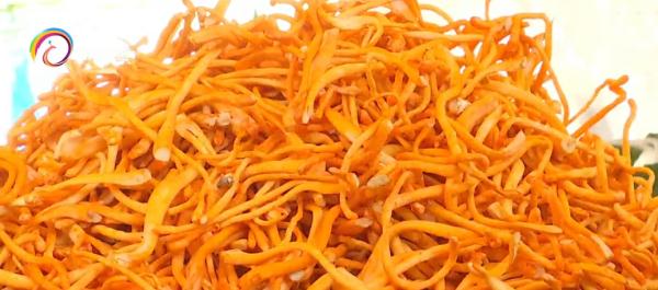 海菜花、棠梨花、金雀花、虫草花...又到吃花季，市民争相品尝春天味道！