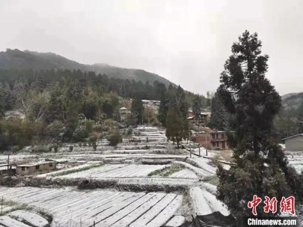 这两地终于等到雪!鼓浪屿的海水抖了抖…… 这两地终于等到雪!鼓浪屿的海水抖了抖……