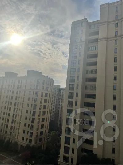 刚刚，杭州人狂喜：它来了！它来了！终于等到！