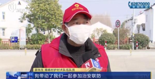 帅气！听话！上海的这些狗狗们派上大用场了