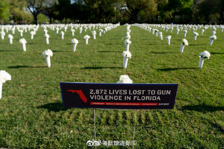 丧心病狂 美国一企业推出儿童版半自动步枪 售价2460元