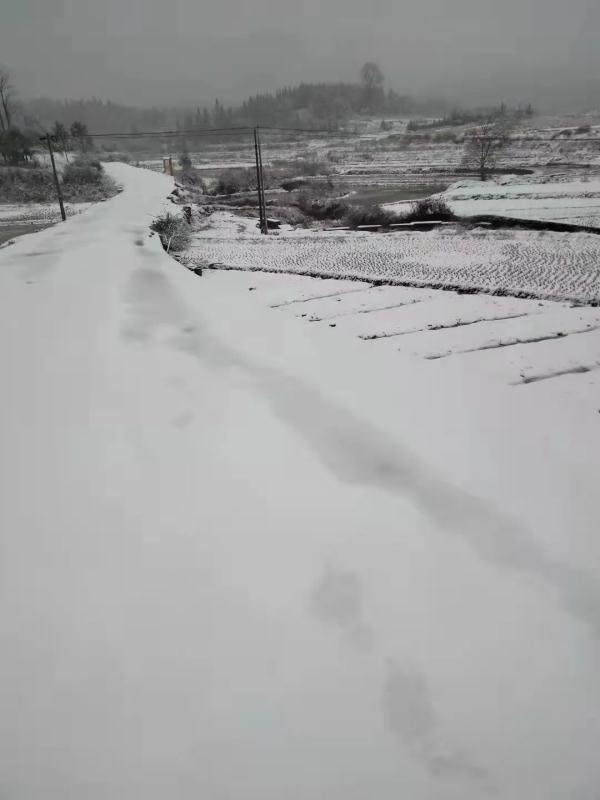 广西下雪了！