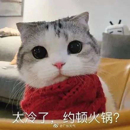 广州下雪了？！还有街坊出门亲测……最新回应来了→