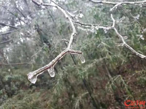 下雪！冰挂！广东开启速冻模式