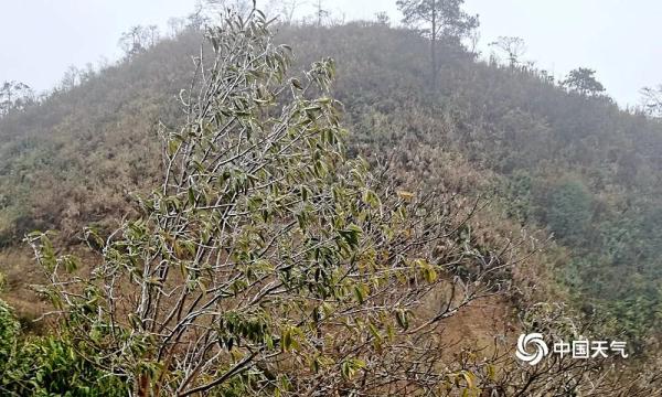广西下雪了！