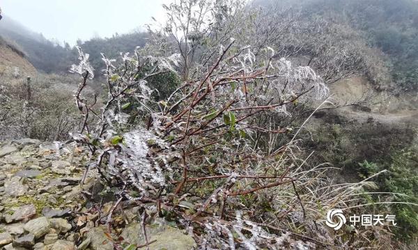广西下雪了！