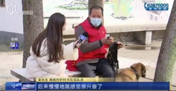 帅气！听话！上海的这些狗狗们派上大用场了