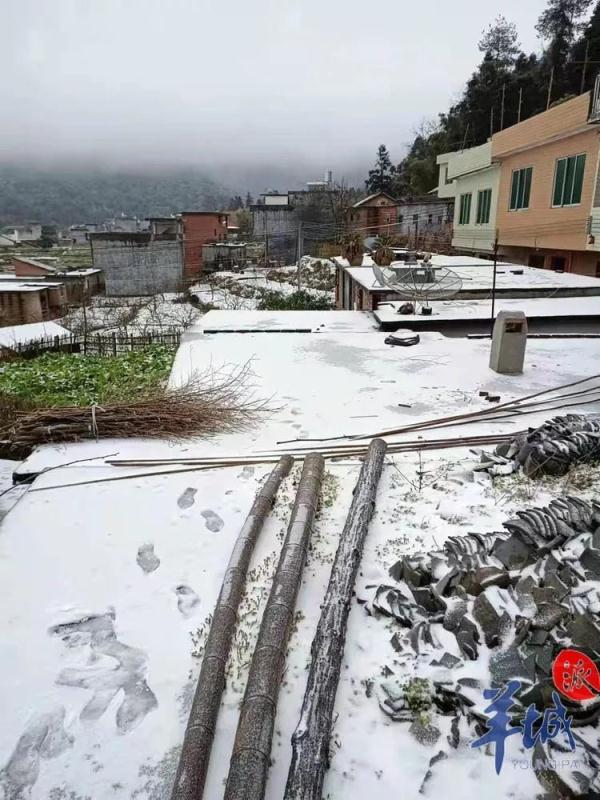 广州下雪了？！还有街坊出门亲测……最新回应来了→