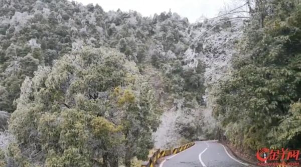 下雪！冰挂！广东开启速冻模式