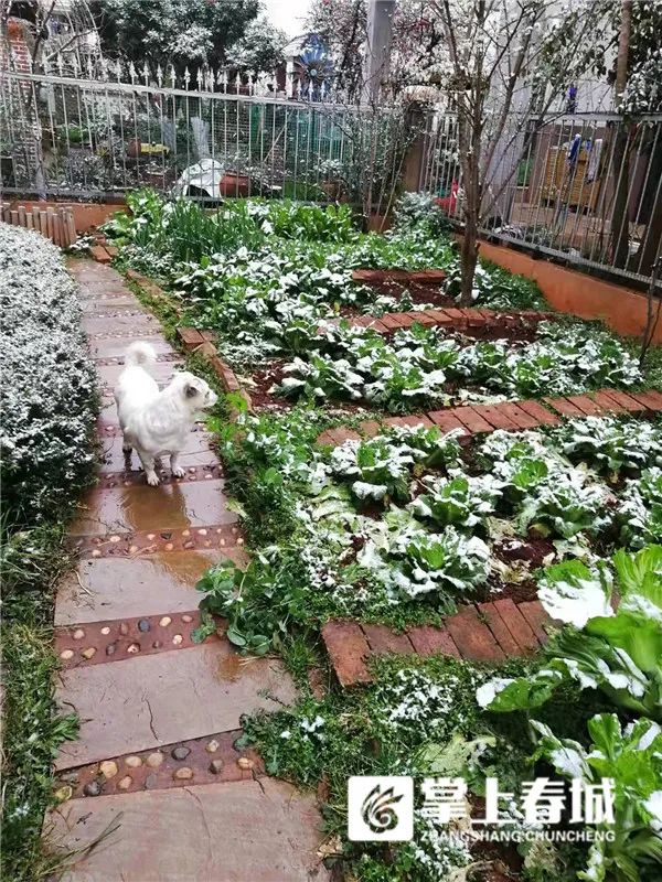 2℃！昆明又下雪了！寒潮预警升级…多条高速路段临时交通管制