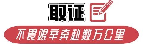 何某（男，38岁，102名“女友”）获刑11年半！