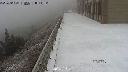 冷吗？渝北都飘雪了！