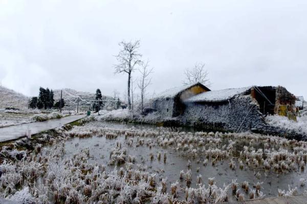 万物皆可“冰墩墩”！广东多地迎来雾凇冰挂“雪景”奇观，美不胜收