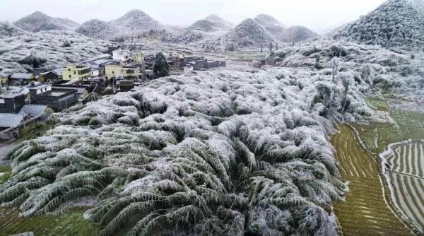 万物皆可“冰墩墩”！广东多地迎来雾凇冰挂“雪景”奇观，美不胜收