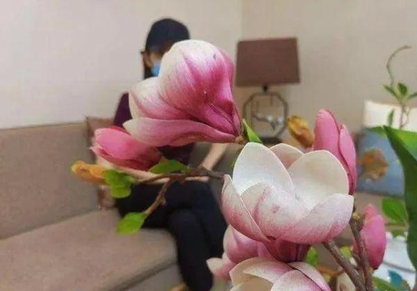 何某（男，38岁，102名“女友”）获刑11年半！