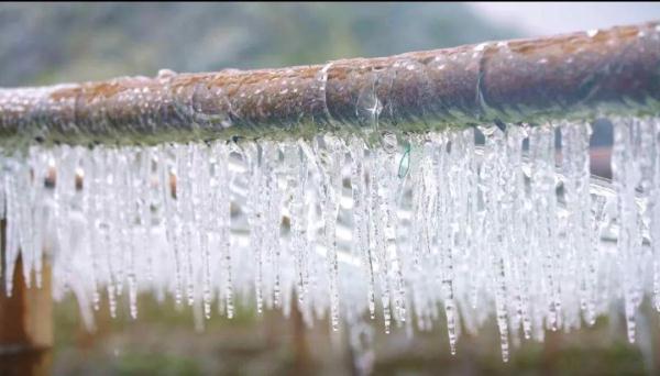 万物皆可“冰墩墩”！广东多地迎来雾凇冰挂“雪景”奇观，美不胜收