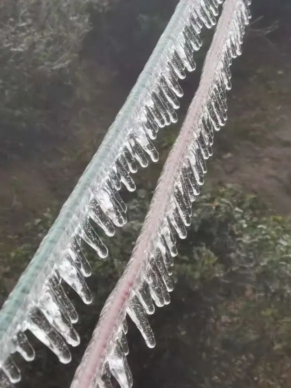 万物皆可“冰墩墩”！广东多地迎来雾凇冰挂“雪景”奇观，美不胜收