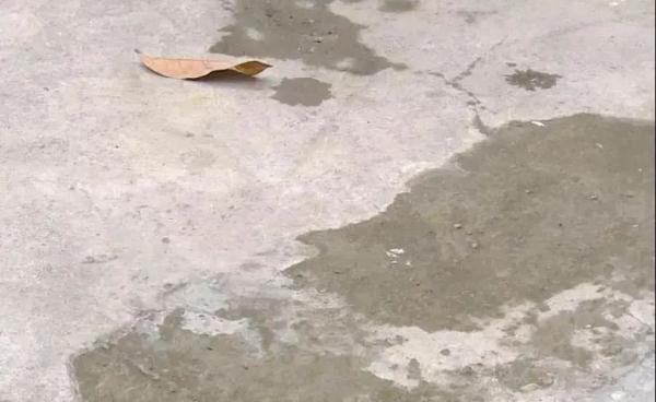 太危险！多人自助烧烤，突然爆炸！原因居然和地面有关…