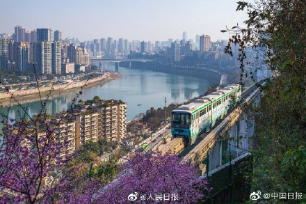 開往春天的列車重慶列車穿行花海好像電影