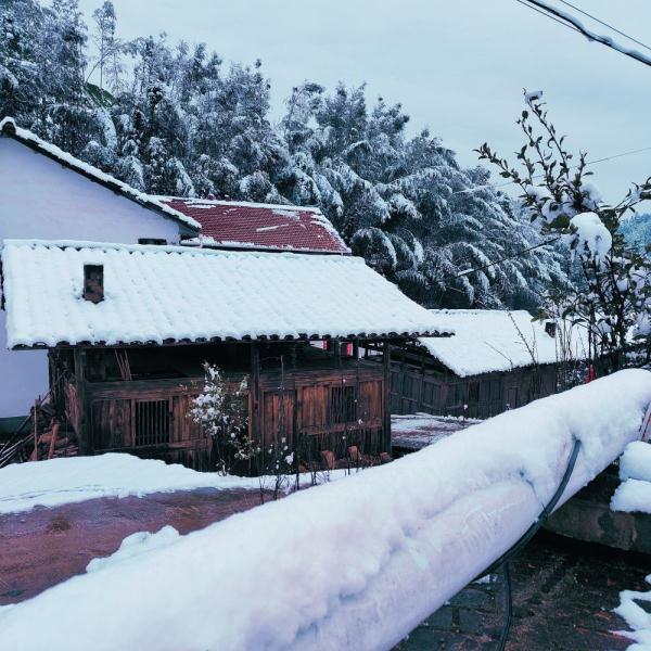 江西多地迎来降雪唯美雪景引人醉