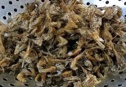 天冷，多给家人吃此鱼，比鲅鱼好吃，比鲫鱼有营养，常吃对皮肤好