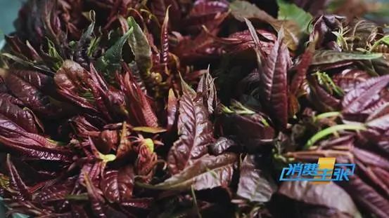 这种“野菜”，一斤卖到120元！还会继续涨？