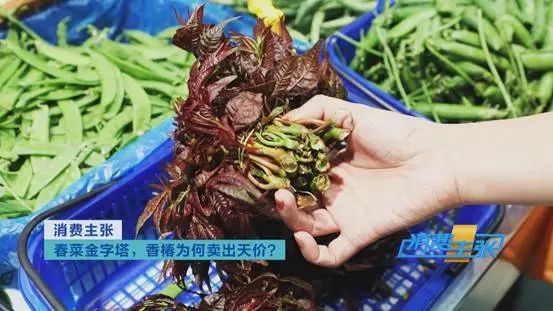 这种“野菜”，一斤卖到120元！还会继续涨？