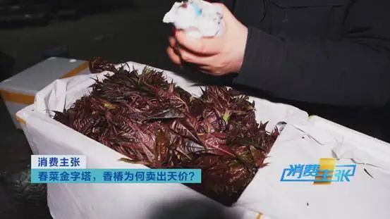 这种“野菜”，一斤卖到120元！还会继续涨？