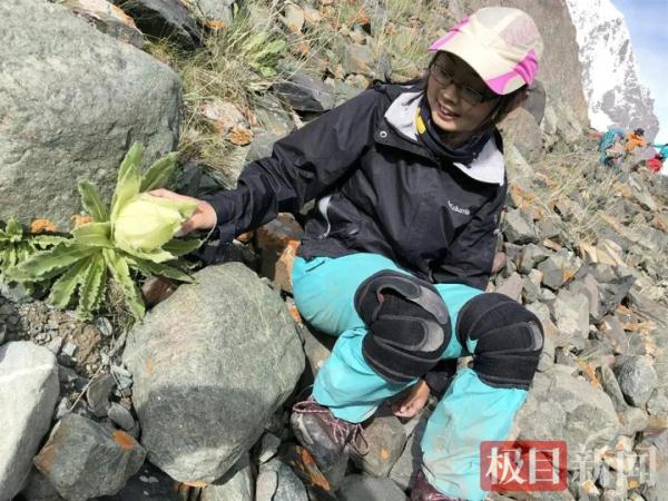 95后女诗人不幸遇难！死因仍是待解之谜......