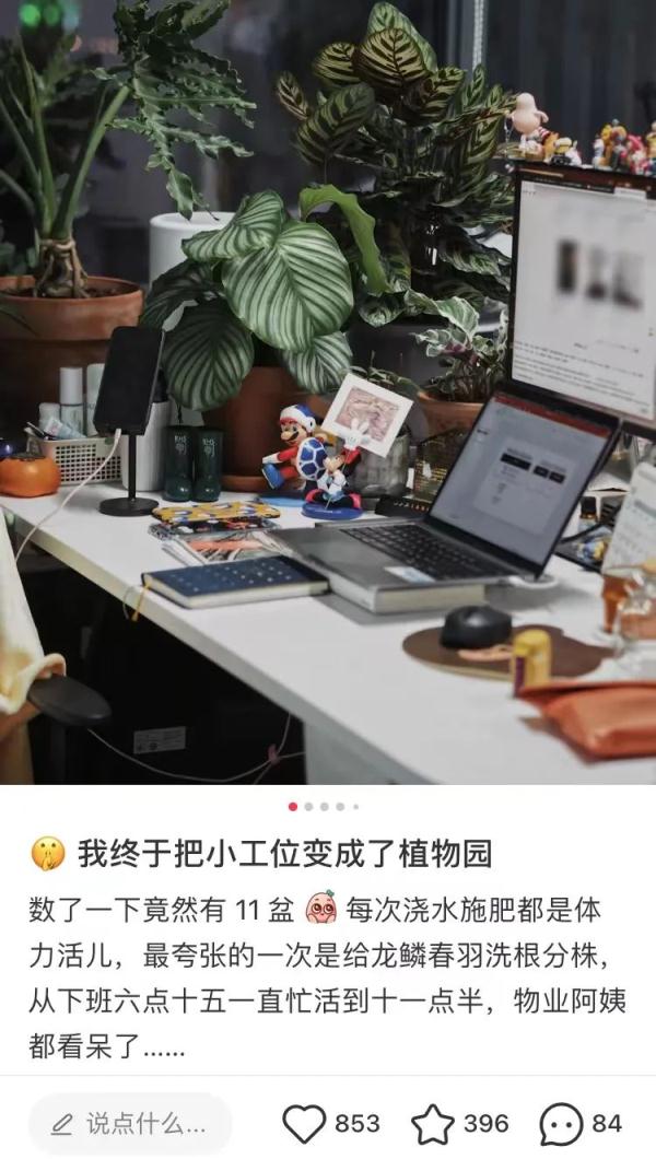 办公桌都“内卷”成这样了，也太好看了！