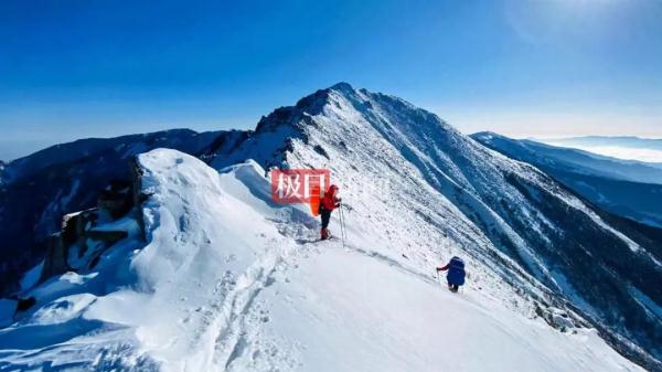 95后女诗人不幸遇难！死因仍是待解之谜......