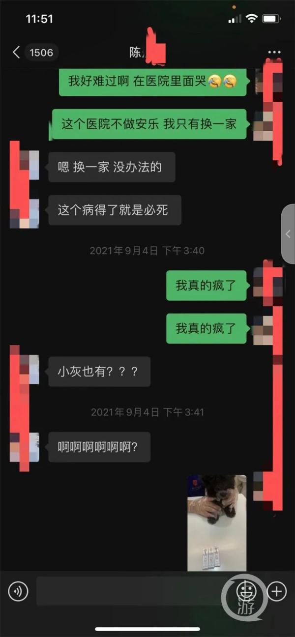 3.15维权 | 2.2万元网购两只宠物狗 不到一个月先后因病死亡