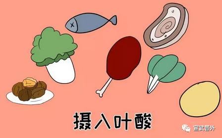 孕妈妈要注意科学补充叶酸 孕妈妈要注意科学补充叶酸