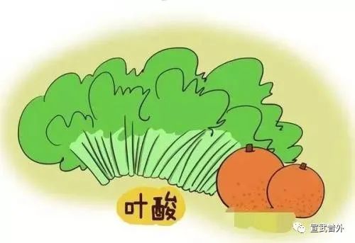 孕妈妈要注意科学补充叶酸 孕妈妈要注意科学补充叶酸