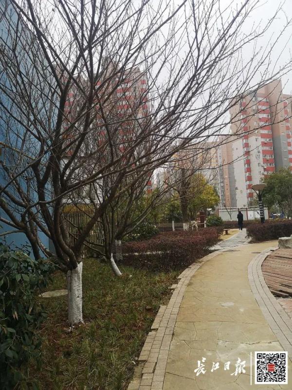小区“撞名”！一个片区三个“桃花源”，需要改名吗？