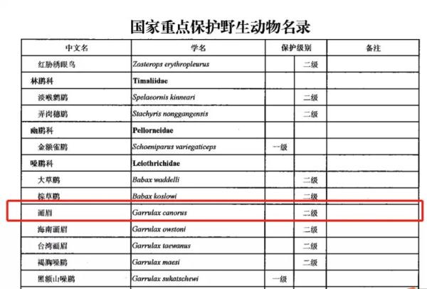 出售4只画眉鸟，结果被判刑了…