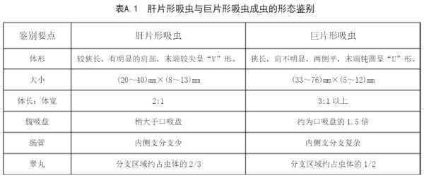 桂林女子肝脏被吃掉三分之一，“凶手”十分罕见，爱吃鱼腥草的人要注意