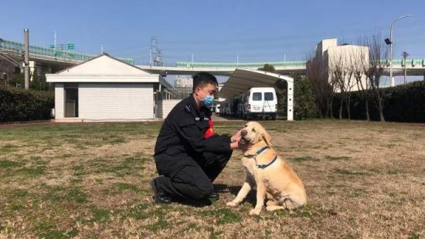11岁网红警犬“生米”的退休生活：晒太阳、玩网球和减肥