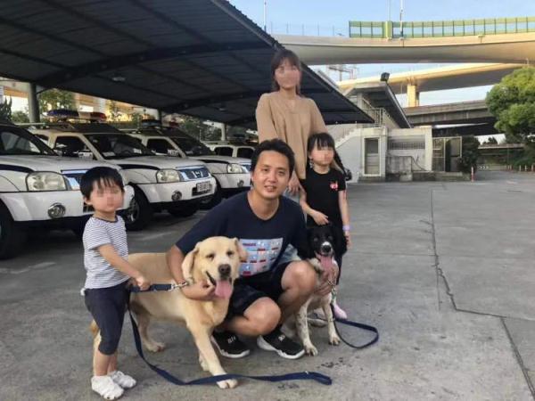 11岁网红警犬“生米”的退休生活：晒太阳、玩网球和减肥