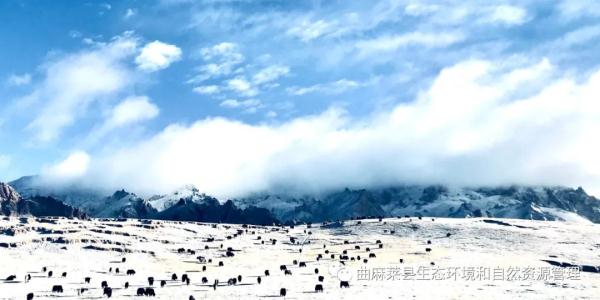 青海玉树壮观一幕！