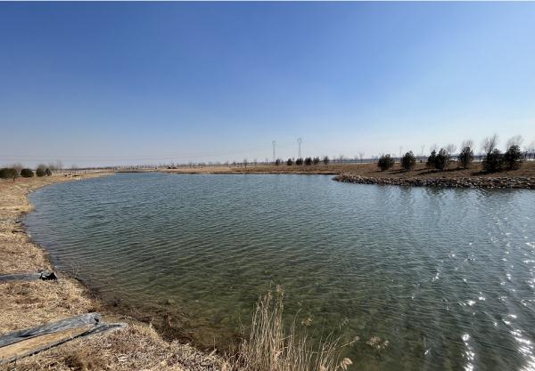 20℃+5级风！未来几天，石家庄天气是……