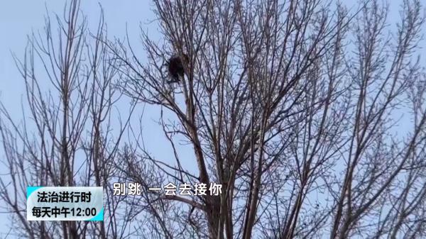 女孩掏鸟被困 消防苦救两小时