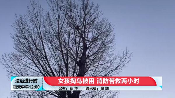 女孩掏鸟被困 消防苦救两小时