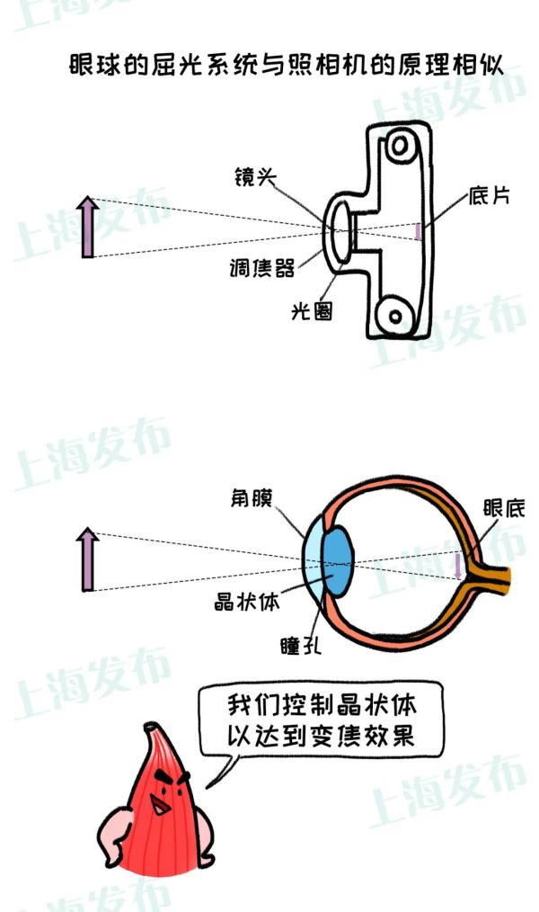 摄影原理图片