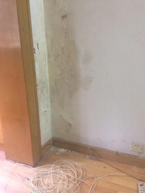 邻居在天井搭玻璃棚,上海阿姨直呼:好害怕!这到底算不算违建? 邻居在天井搭玻璃棚,上海阿姨直呼:好害怕!这到底算不算违建?