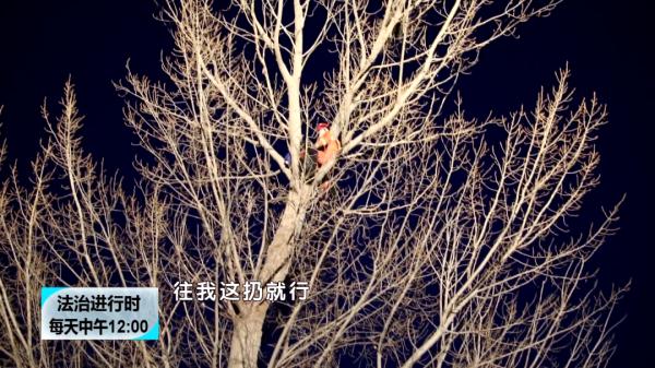 女孩掏鸟被困 消防苦救两小时