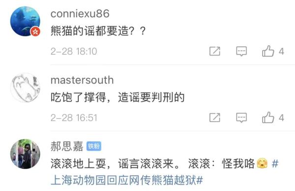 朋友圈疯传！上海动物园的熊猫“越狱”了？最新动向来了